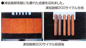 センス/テールが選ばれる理由